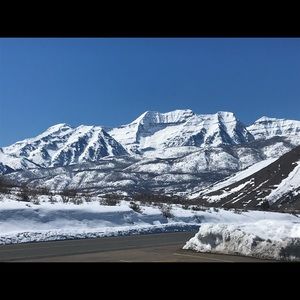 Meet your Posher, Heidi